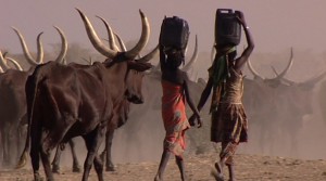 The Fulani Shepherds: A Cry in Africa