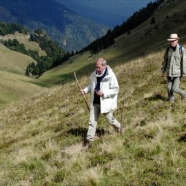 Prochaines diffusions de nos films