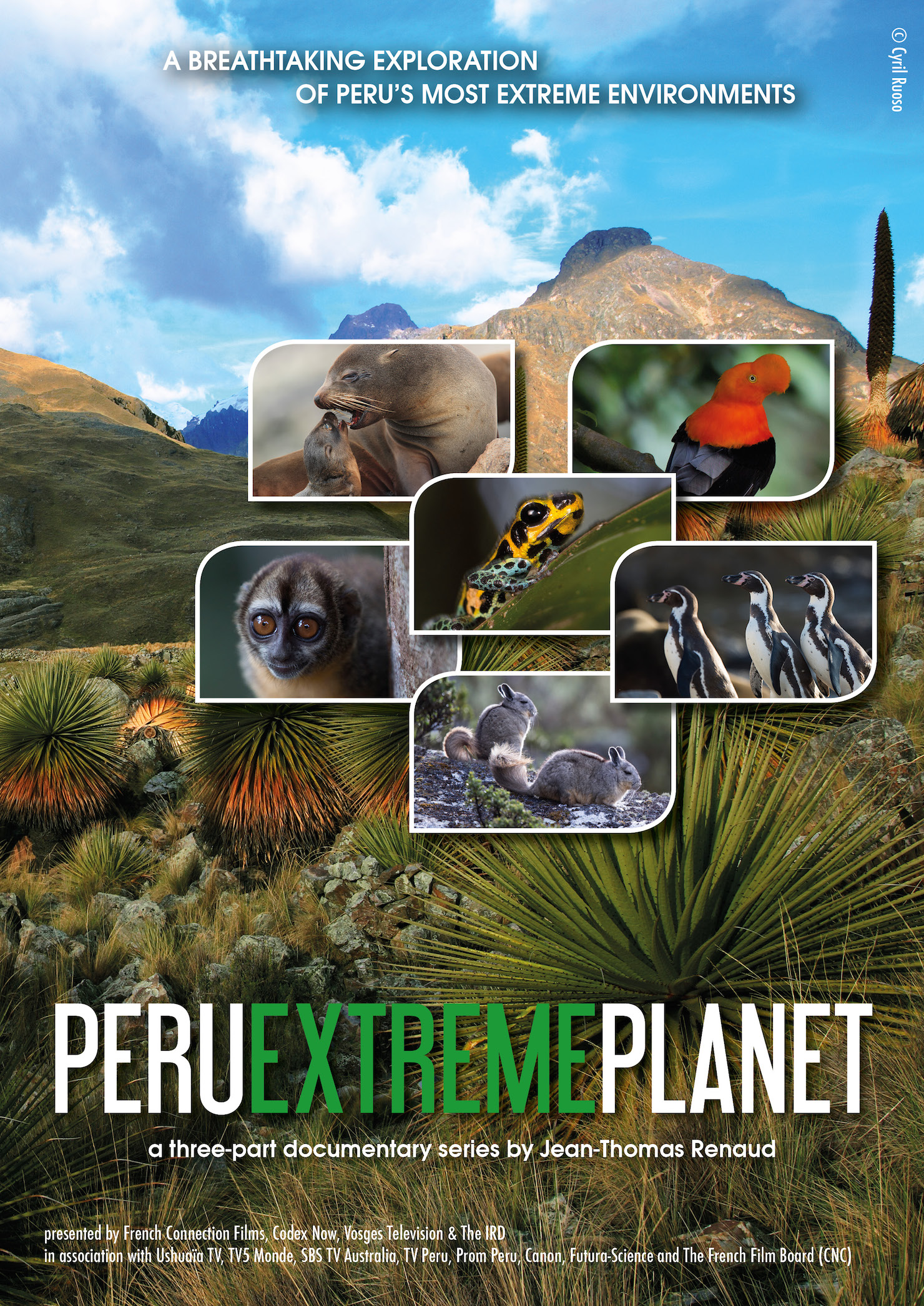 French Connection Films | “Peru: Extreme Planet” Now Available on DVD!